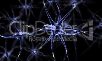 Neural network , Brain cells , Human nervous system , Neurons 3d illustration