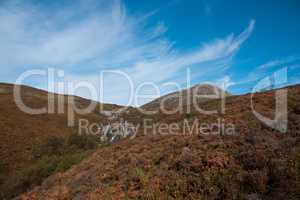 View to the scotish mountain