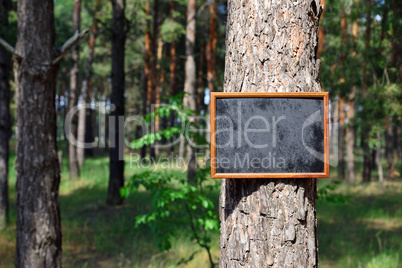 empty black chalk board hangs on the trunk