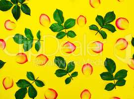 Abstract yellow background with rose petals