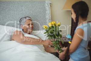 Granddaughter giving flowers to grandmother in bed room