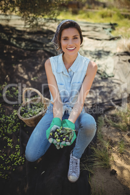 Smiling young woman collecting olives at farm