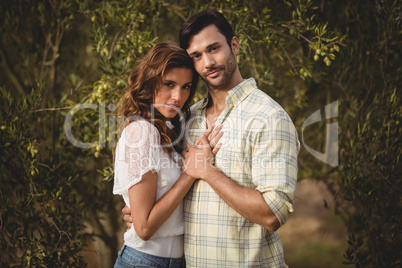 Young couple embracing by trees at olive farm