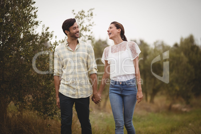 Young couple holding hands while walking on field at farm