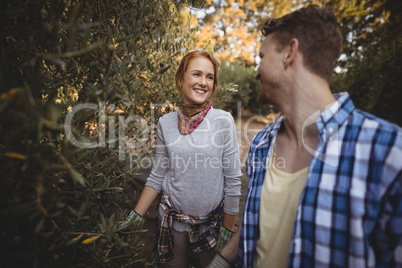 Happy young couple standing by olive trees