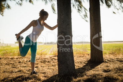 Young woman exercising by tree at farm