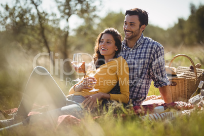 Smiling young couple holding wineglasses while relaxing on picnic blanket