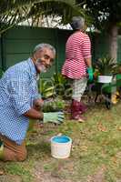 Portrait of smiling senior man holding plant while kneeling in backyard