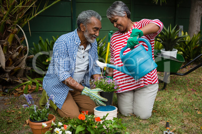Smiling senior couple planting in backyard