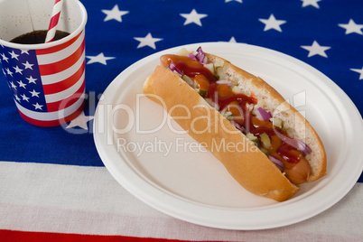 Hot dog served in plate with a drink on American flag