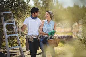 Young couple standing by ladder at olives farm