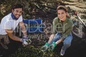 Smiling young couple collecting olives at farm