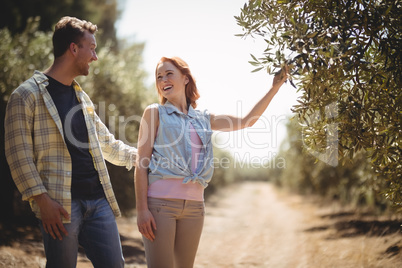 Woman holding olive tree while standing with boyfriend at farm