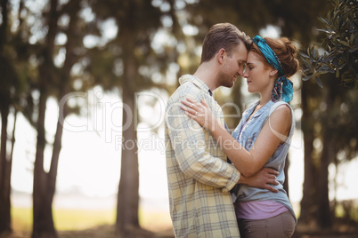 Young couple embracing at olive farm on sunny day