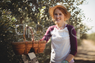 Smiling young woman with wicker basket standing at olive farm