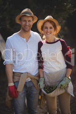 Smiling couple collecting olives at farm