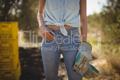 Mid section of woman with gloves standing at olive farm