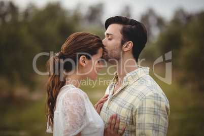 Boyfriend kissing girlfriend on field at olive farm