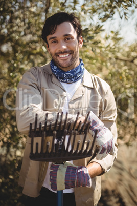 Smiling young man with rake standing at olive farm