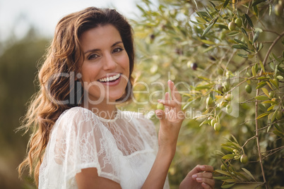 Portrait of happy young woman plucking olives at farm