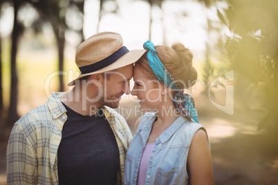 Young couple rubbing noses at olive farm
