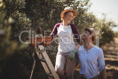 Cheerful couple with wicker basket and ladder at olive farm