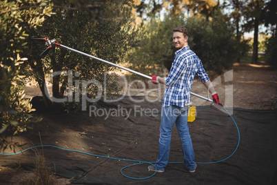 Smiling young man using olive rake at farm