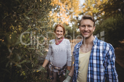 Smiling young couple standing by olive trees at farm