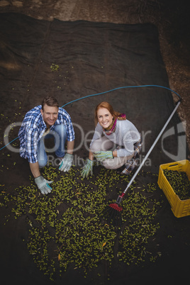 Portrait of young couple working at olive farm