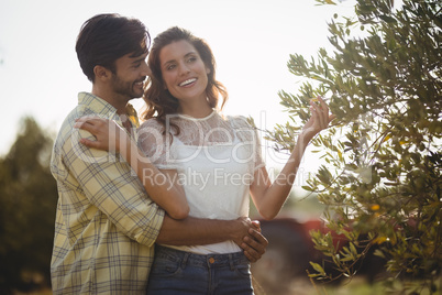Young couple standing by tree at farm on sunny day