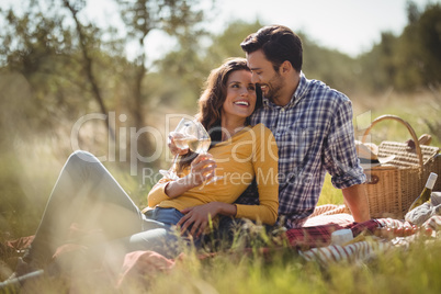Happy young couple holding wineglasses while relaxing on picnic blanket