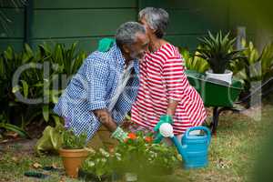 Happy senior couple embracing while kneeling in backyard