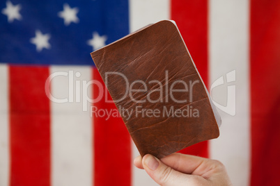 Hand holding a visa against American flag
