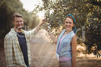 Portrait of couple holding olive tree while standing at farm