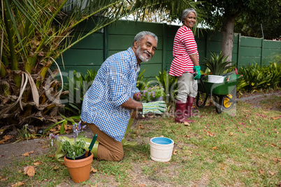 Portrait of senior couple working in backyard