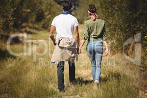Rear view of couple walking at olive farm
