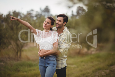 Girlfriend showing something to boyfriend at olive farm