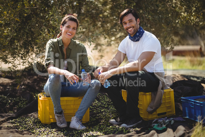 Smiling young couple sitting on crates at olive farm