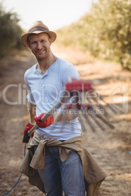 Young male farmer holding olive rake at farm