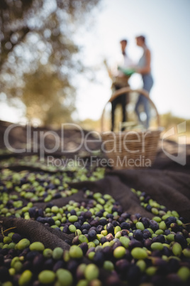 Black and green olives on textile with couple in background