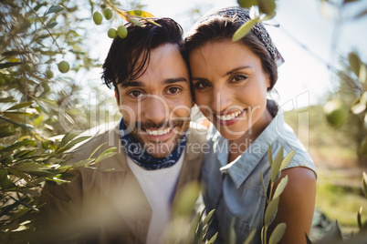 Portrait of smiling young couple by olive trees at farm