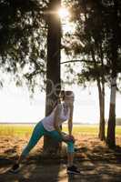 Woman exercising by tree at farm on sunny day
