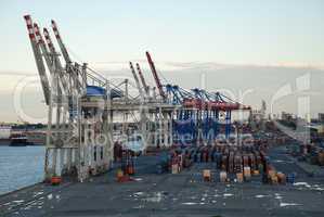 Cranes in the harbor of Hamburg, Germany