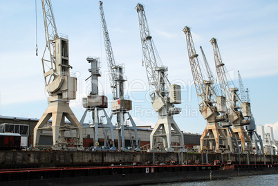 Old cranes in the harbor of Hamburg, Germany