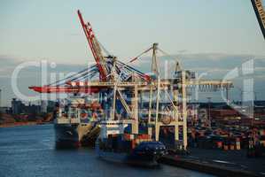 Cranes in the harbor of Hamburg, Germany