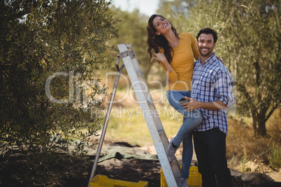 Portrait of smiling couple with ladder at olive farm