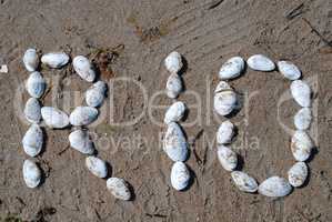 Writing with shells: "Rio" (Rio de Janeiro, Brasil)