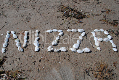 Writing with shells: "Nizza" (German designation for Nice, Franc