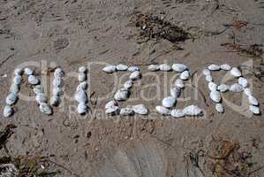 Writing with shells: "Nizza" (German designation for Nice, Franc