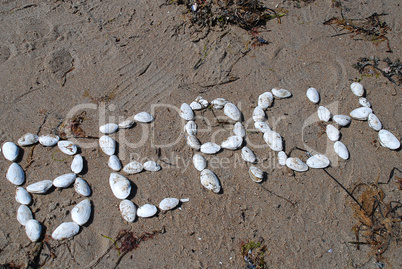 Writing with shells: "beach"
